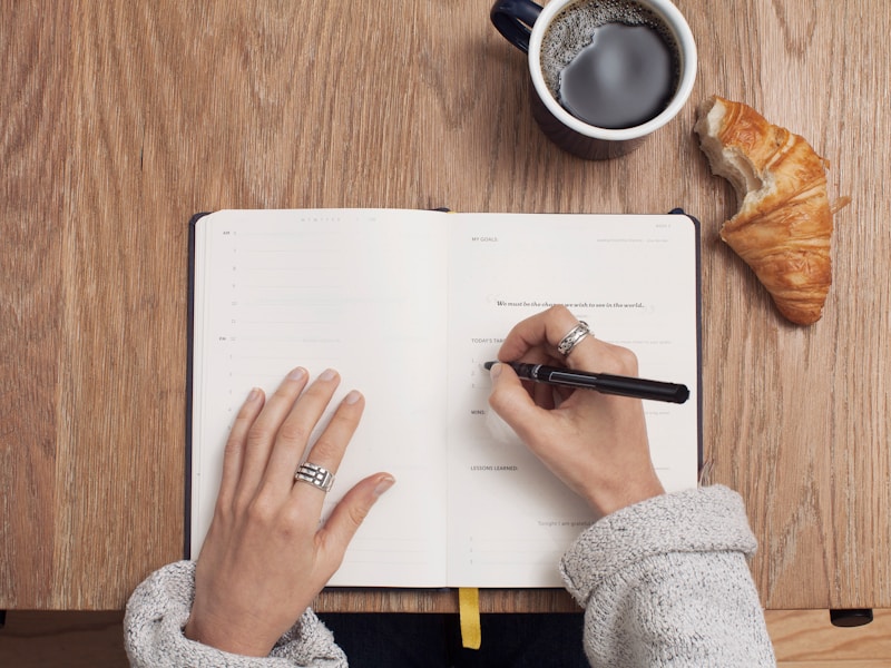 Professional technical writing and documentation